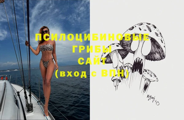 соль ск Нягань